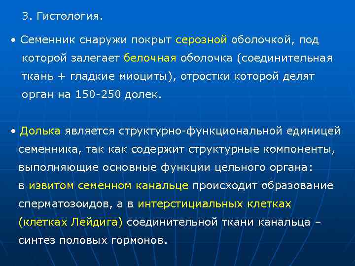 3. Гистология. • Семенник снаружи покрыт серозной оболочкой, под которой залегает белочная оболочка (соединительная