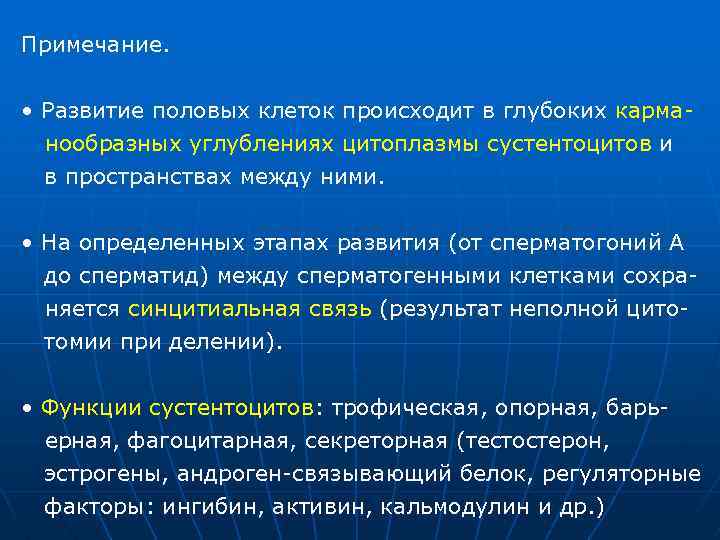 Примечание. • Развитие половых клеток происходит в глубоких карманообразных углублениях цитоплазмы сустентоцитов и в