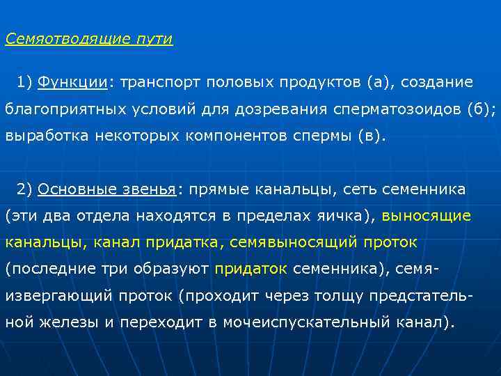 Семяотводящие пути 1) Функции: транспорт половых продуктов (а), создание благоприятных условий для дозревания сперматозоидов