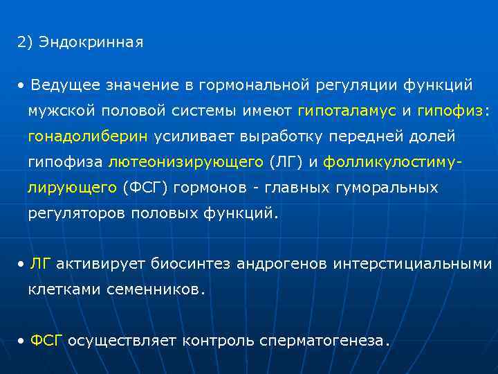 2) Эндокринная • Ведущее значение в гормональной регуляции функций мужской половой системы имеют гипоталамус