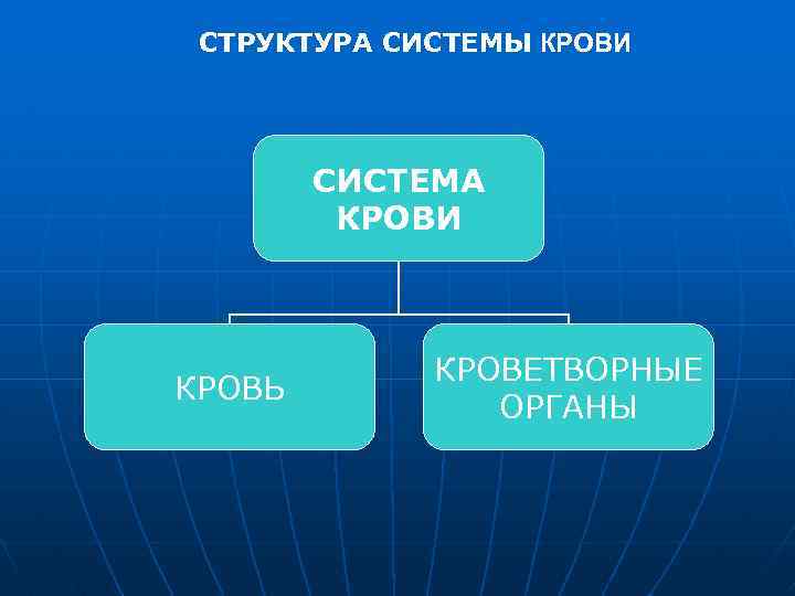 СТРУКТУРА СИСТЕМЫ КРОВИ СИСТЕМА КРОВИ КРОВЬ КРОВЕТВОРНЫЕ ОРГАНЫ 