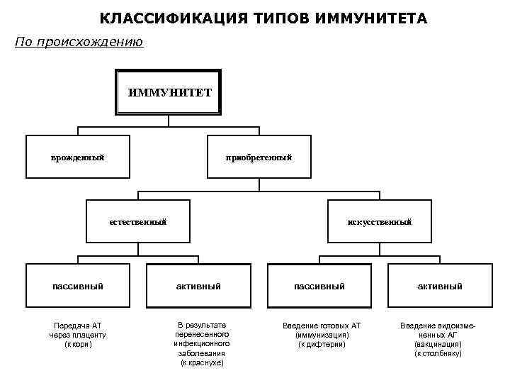 КЛАССИФИКАЦИЯ ТИПОВ ИММУНИТЕТА По происхождению ИММУНИТЕТ врожденный приобретенный естественный пассивный Передача АТ через плаценту