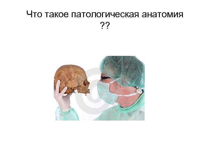 Что такое патологическая анатомия ? ? 