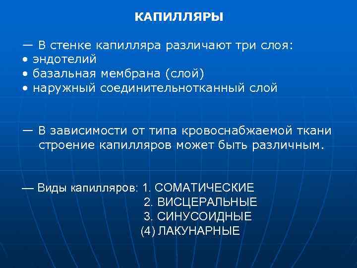 КАПИЛЛЯРЫ — В стенке капилляра различают три слоя: • эндотелий • базальная мембрана (слой)