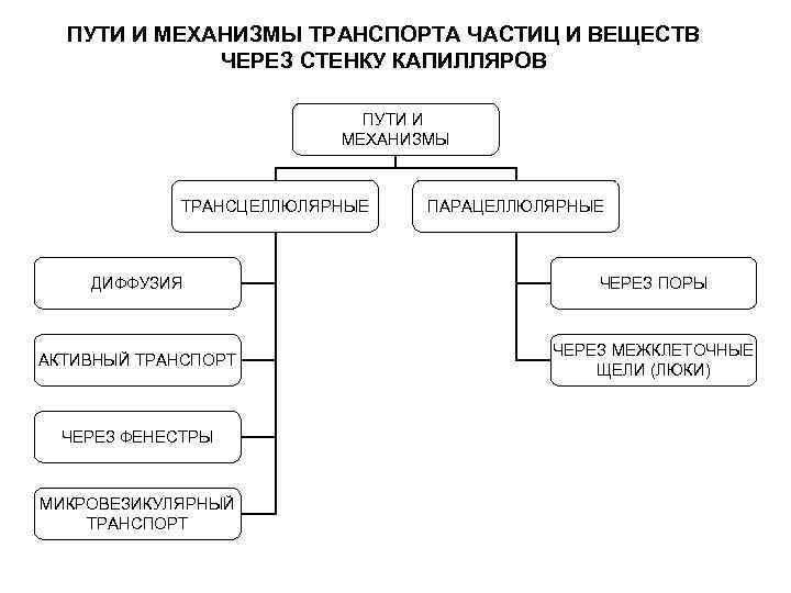 Политическая система украины