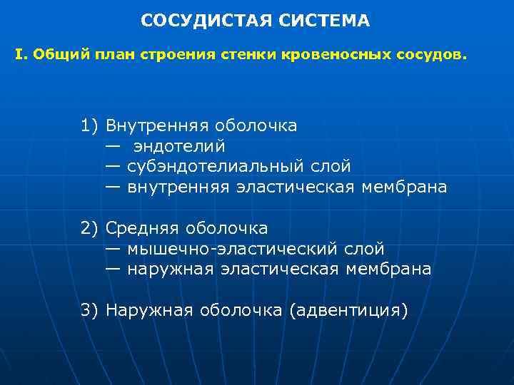 СОСУДИСТАЯ СИСТЕМА I. Общий план строения стенки кровеносных сосудов. 1) Внутренняя оболочка — эндотелий