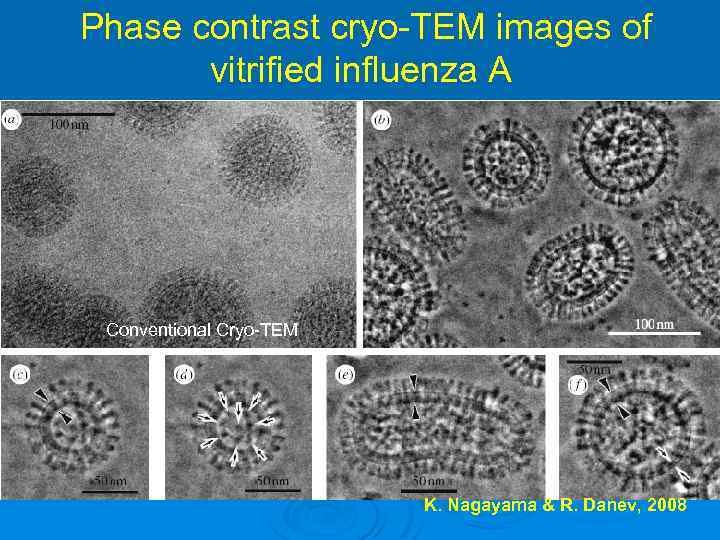 Phase contrast cryo-TEM images of vitrified influenza A Conventional Cryo-TEM K. Nagayama & R.