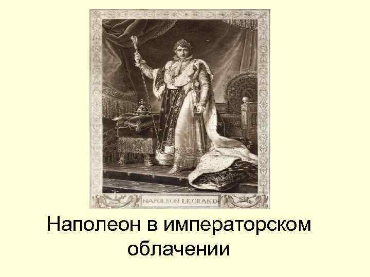 Наполеон в императорском облачении 