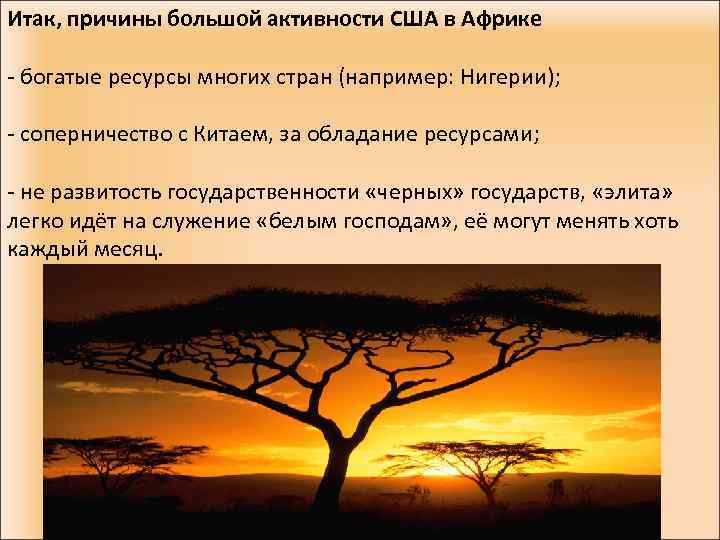 Итак, причины большой активности США в Африке - богатые ресурсы многих стран (например: Нигерии);