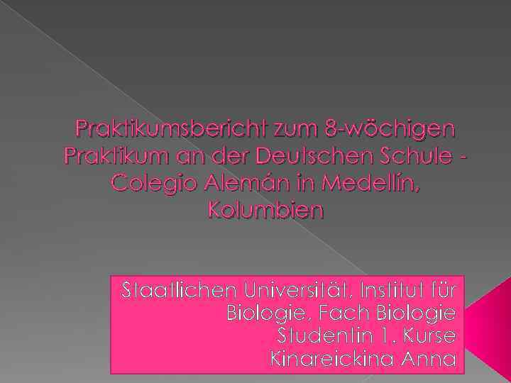 Praktikumsbericht zum 8 -wöchigen Praktikum an der Deutschen Schule Colegio Alemán in Medellín, Kolumbien