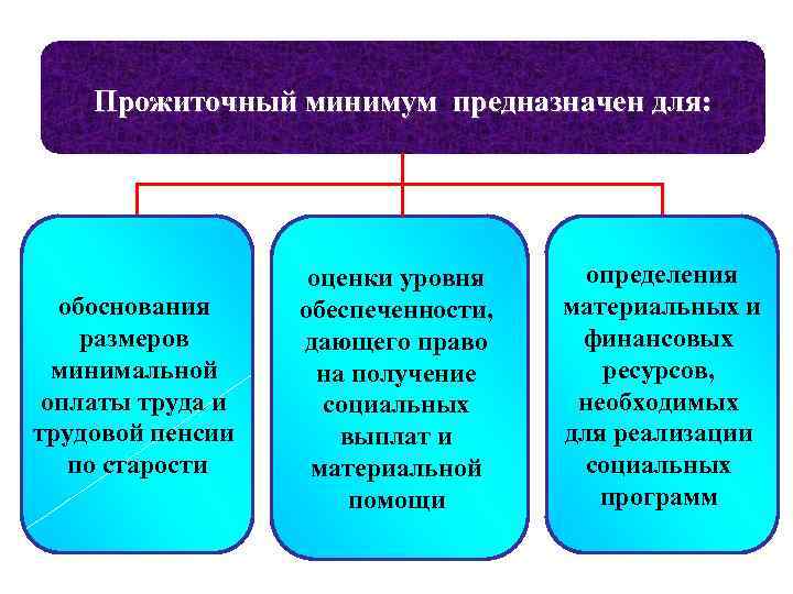 Прожиточный минимум предназначен для: обоснования размеров минимальной оплаты труда и трудовой пенсии по старости