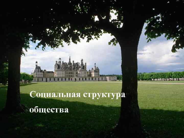 Социальная структура общества 