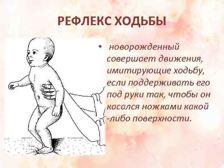 РЕФЛЕКС ХОДЬБЫ • новорожденный совершает движения, имитирующие ходьбу, если поддерживать его под руки так,