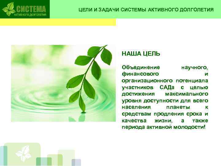 ЦЕЛИ И ЗАДАЧИ СИСТЕМЫ АКТИВНОГО ДОЛГОЛЕТИЯ НАША ЦЕЛЬ Объединение научного, финансового и организационного потенциала