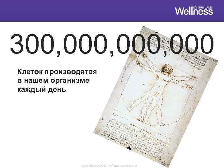 300, 000, 000 Клеток производятся в нашем организме каждый день Copyright © 2009 by