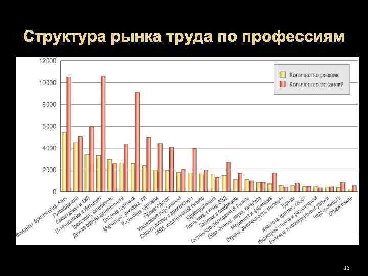 Структура рынка труда по профессиям 15 