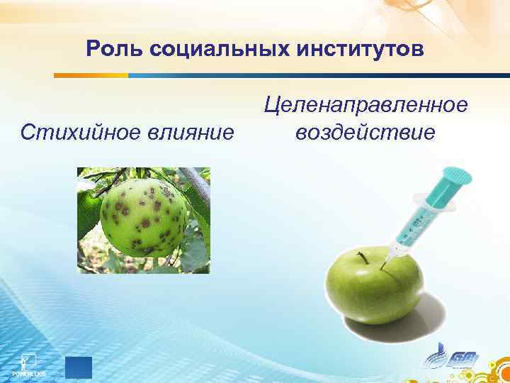 Роль социальных институтов Стихийное влияние Целенаправленное воздействие 