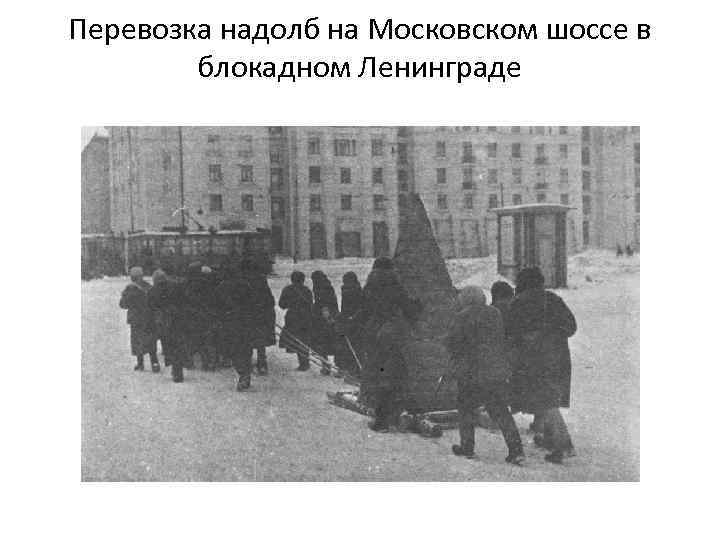 Перевозка надолб на Московском шоссе в блокадном Ленинграде 