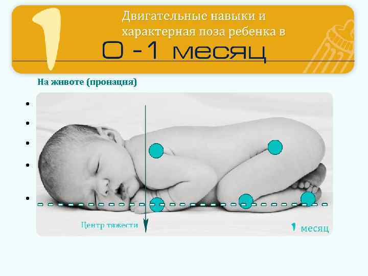 На животе (пронация) • Определяется центром тяжести (у верхнего края грудины) • Голова с