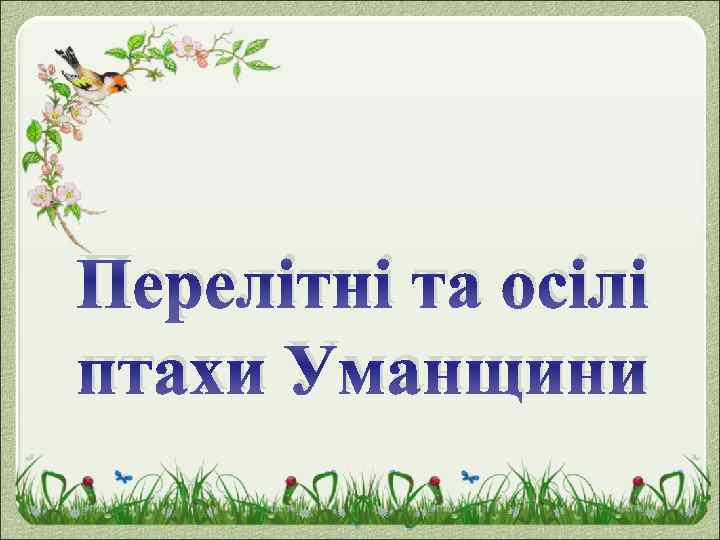 Перелітні та осілі птахи Уманщини 