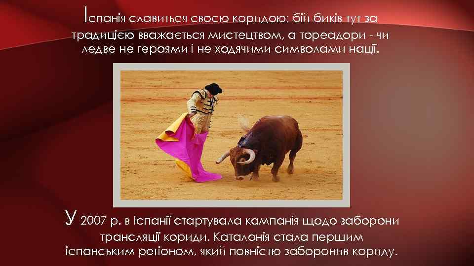 Іспанія славиться своєю коридою; бій биків тут за традицією вважається мистецтвом, а тореадори -