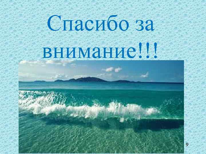 Спасибо за внимание!!! 9 