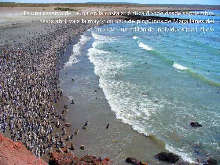 Es una reserva de fauna en la costa atlántica donde desde septiembre hasta abril