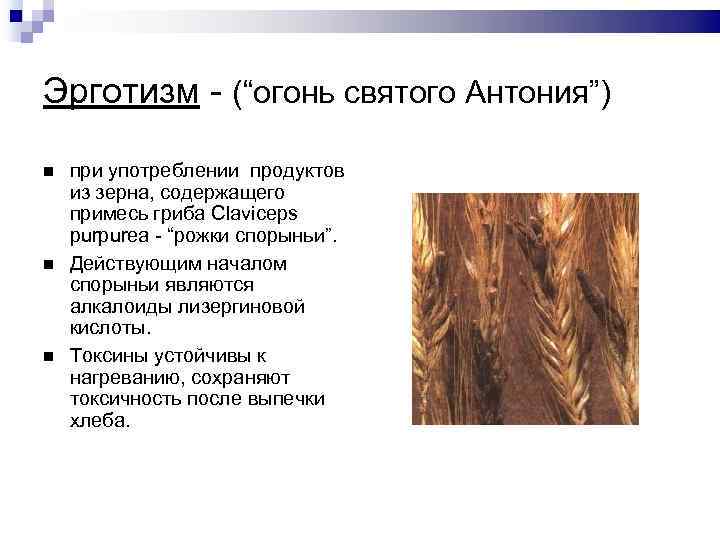 Эрготизм - (“огонь святого Антония”) при употреблении продуктов из зерна, содержащего примесь гриба Claviceps