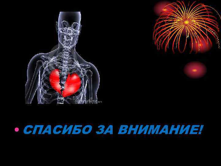  • СПАСИБО ЗА ВНИМАНИЕ! 