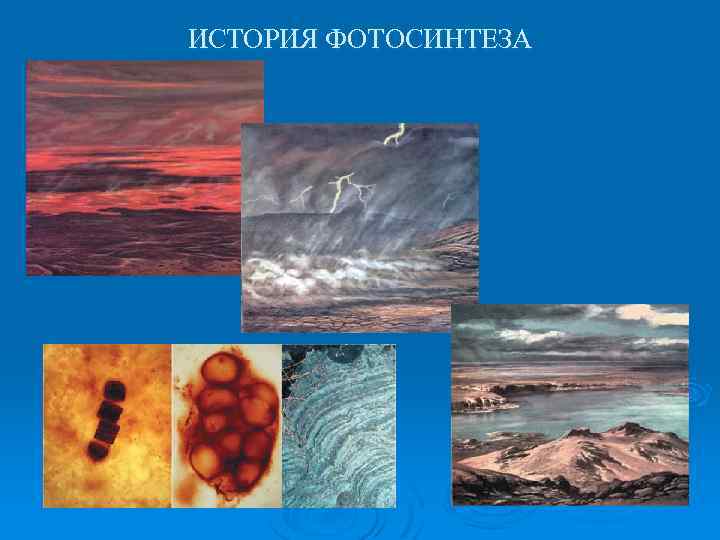 ИСТОРИЯ ФОТОСИНТЕЗА 
