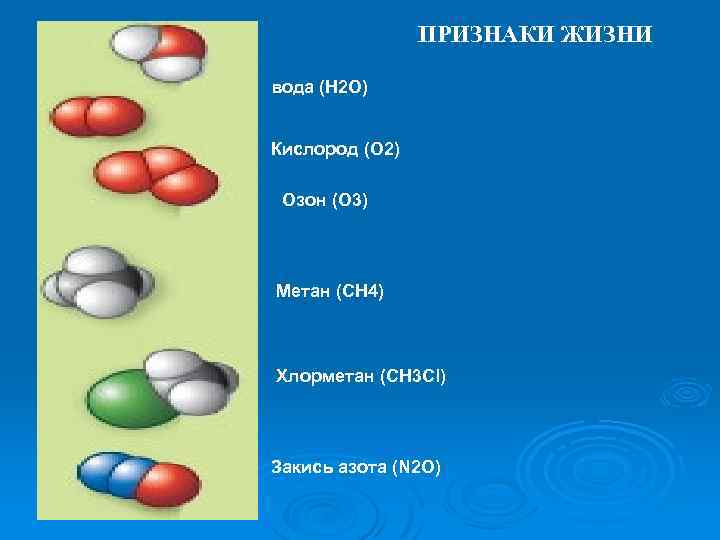 ПРИЗНАКИ ЖИЗНИ вода (H 2 O) Кислород (O 2) Озон (O 3) Метан (CH