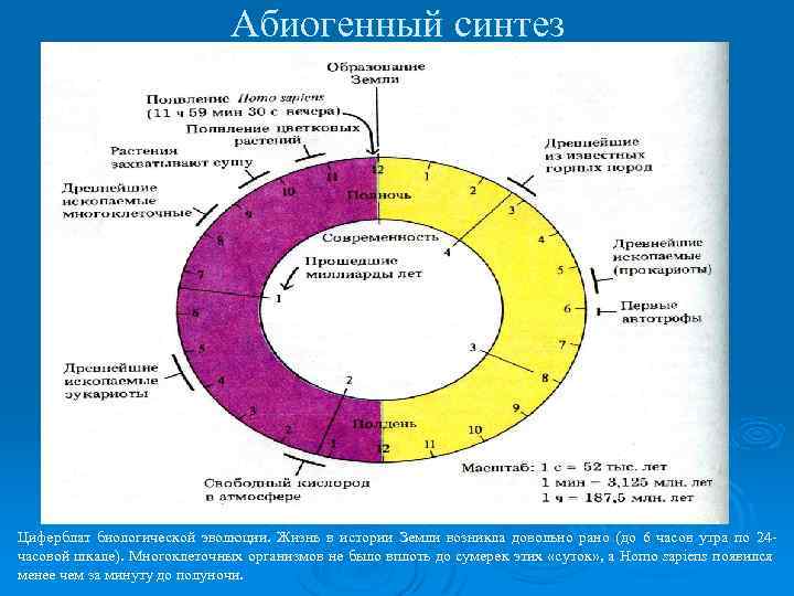 Абиогенный синтез Циферблат биологической эволюции. Жизнь в истории Земли возникла довольно рано (до 6