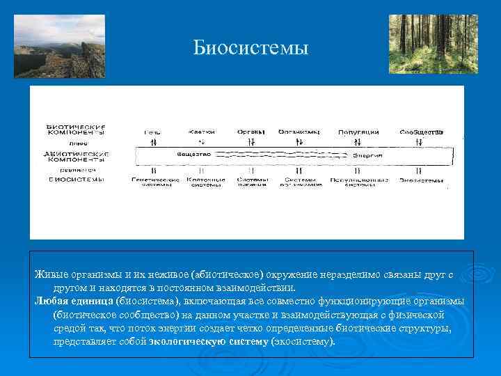 Биосистемы Живые организмы и их неживое (абиотическое) окружение неразделимо связаны друг с другом и