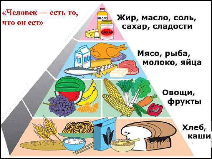  «Человек — есть то, что он ест» 