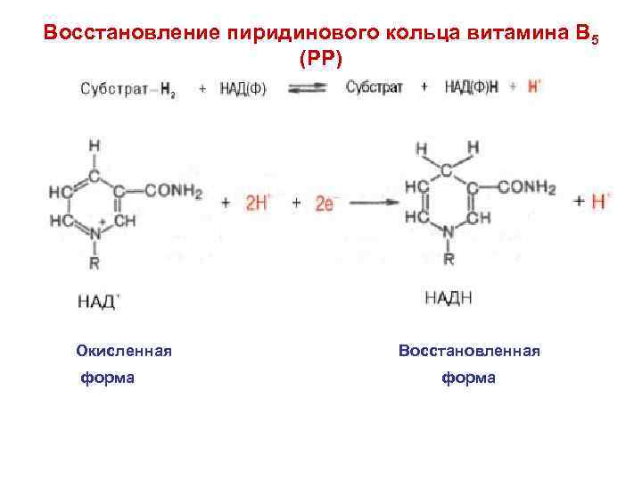 Формы восстановления