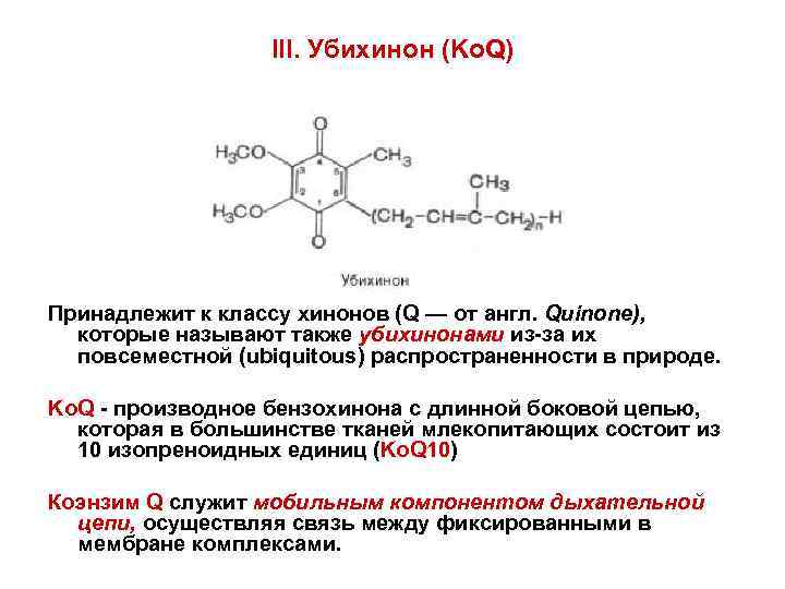 III. Убихинон (Ko. Q) Принадлежит к классу хинонов (Q — от англ. Quinone), которые