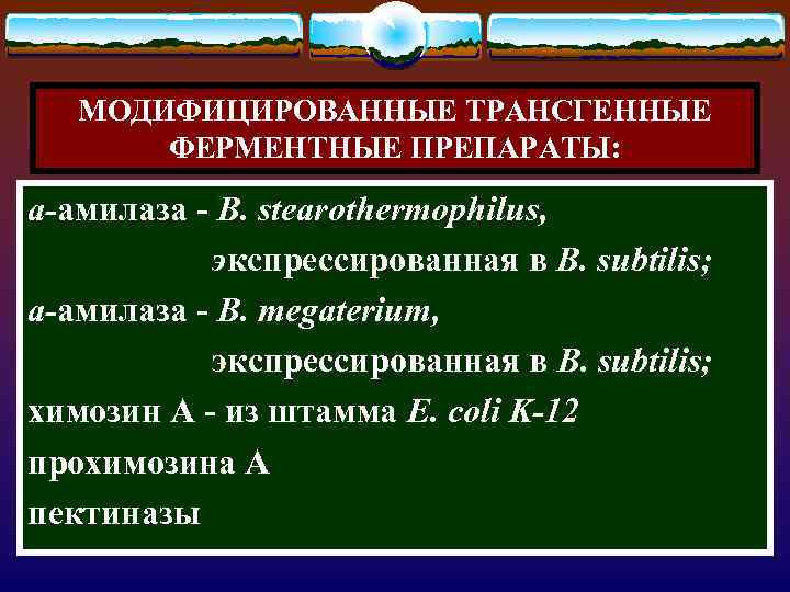 МОДИФИЦИРОВАННЫЕ ТРАНСГЕННЫЕ ФЕРМЕНТНЫЕ ПРЕПАРАТЫ: a-амилаза - В. stеаrоthеrторhilus, экспрессированная в В. subtilis; а-амилаза -