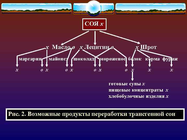 СОЯ х х Масло о х Лецитин о маргарин х о х майонез шоколад