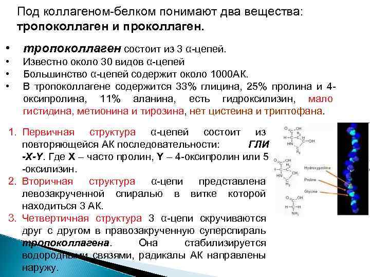 Радикально направленный