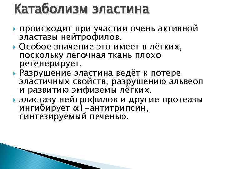 Катаболизм эластина происходит при участии очень активной эластазы нейтрофилов. Особое значение это имеет в