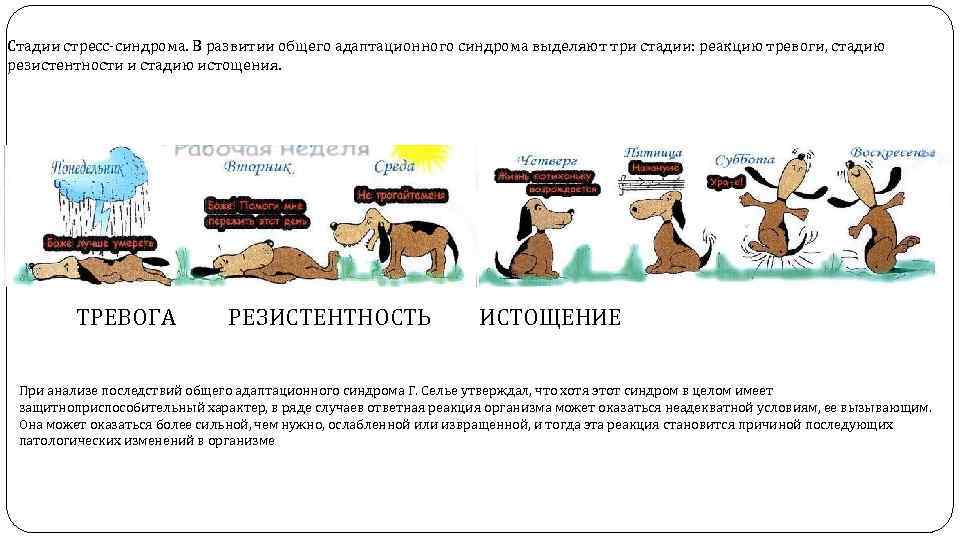 Стадии стресс-синдрома. В развитии общего адаптационного синдрома выделяют три стадии: реакцию тревоги, стадию резистентности
