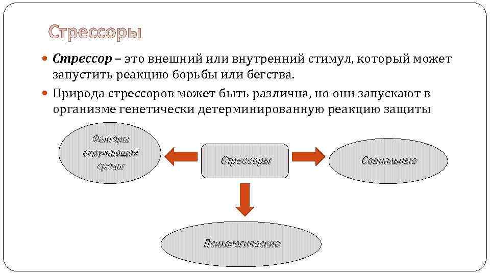  Стрессор – это внешний или внутренний стимул, который может запустить реакцию борьбы или