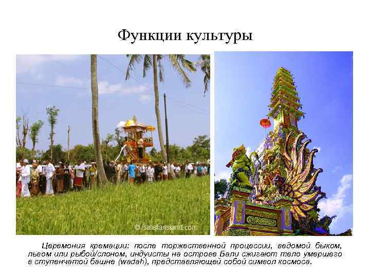 Функции культуры * Церемония кремации: после торжественной процессии, ведомой быком, львом или рыбой/слоном, индуисты