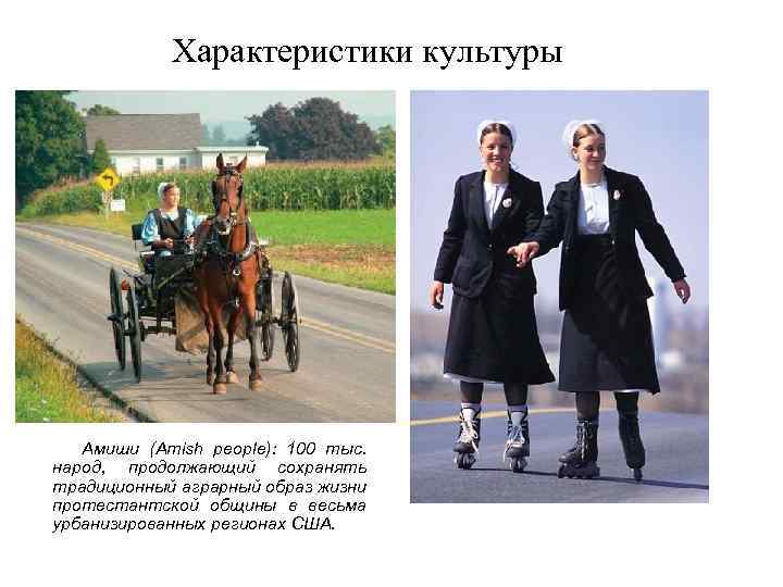 Характеристики культуры Амиши (Amish people): 100 тыс. народ, продолжающий сохранять традиционный аграрный образ жизни