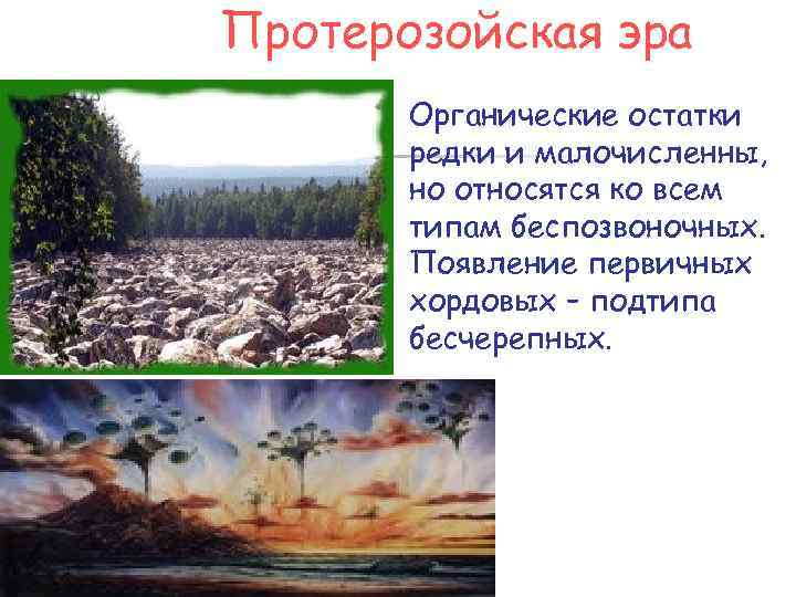 Протерозойская эра Органические остатки редки и малочисленны, но относятся ко всем типам беспозвоночных. Появление