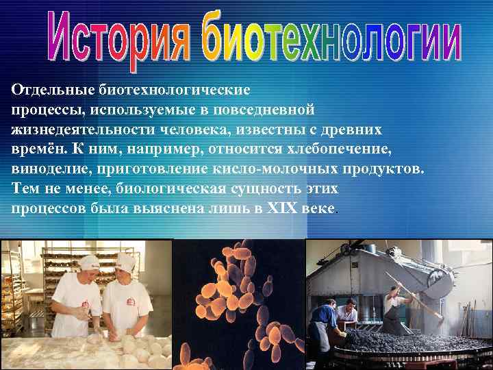Отдельные биотехнологические процессы, используемые в повседневной жизнедеятельности человека, известны с древних времён. К ним,