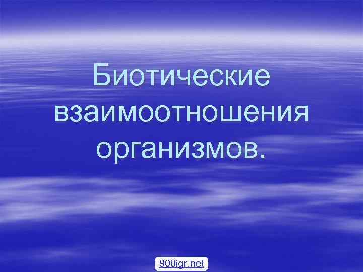 Биотические взаимоотношения организмов. 900 igr. net 