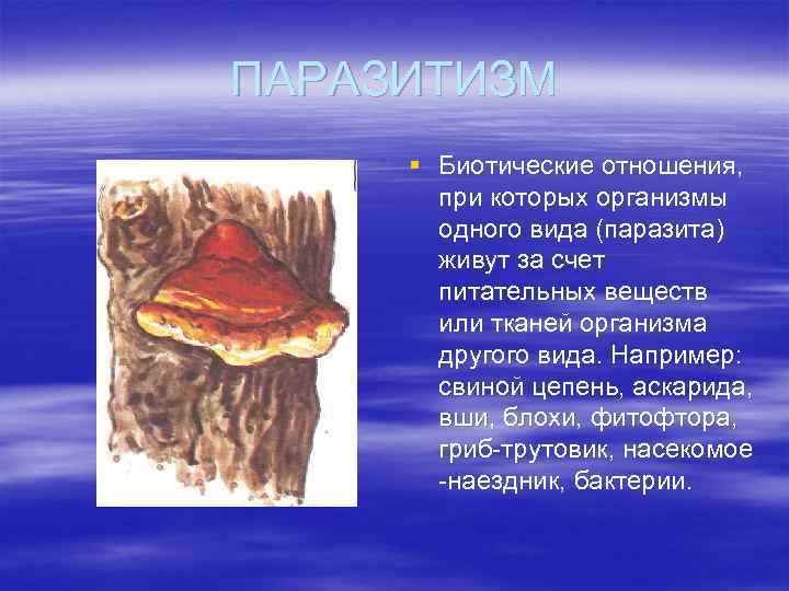 ПАРАЗИТИЗМ § Биотические отношения, при которых организмы одного вида (паразита) живут за счет питательных