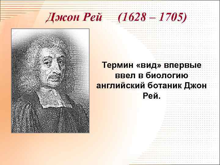 Джон Рей (1628 – 1705) Термин «вид» впервые ввел в биологию английский ботаник Джон