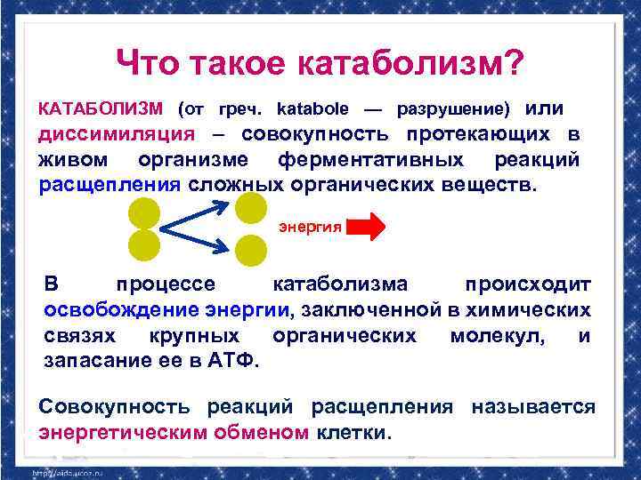 Что такое катаболизм? или диссимиляция – совокупность протекающих в живом организме ферментативных реакций расщепления